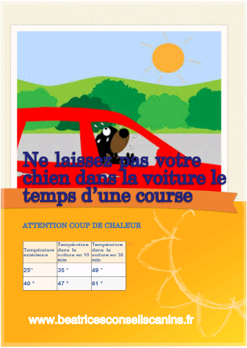 Canicule voiture 2