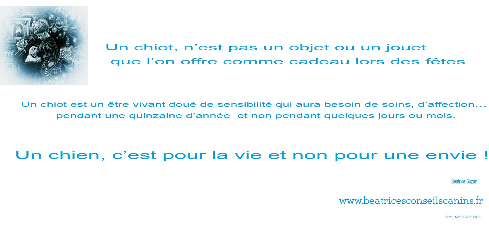 Carte contre cadeau chiot objet