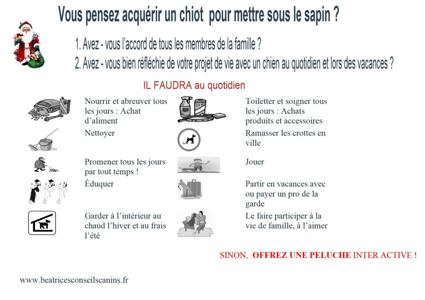 Carte protection chiot contre abandon