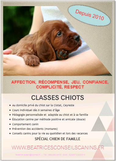 Education canine positive dès 8 semaines