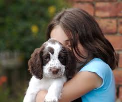 Enfant et chien