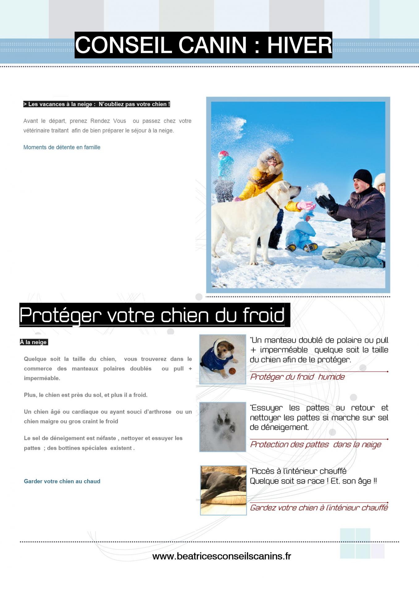 Proteger chien du froid