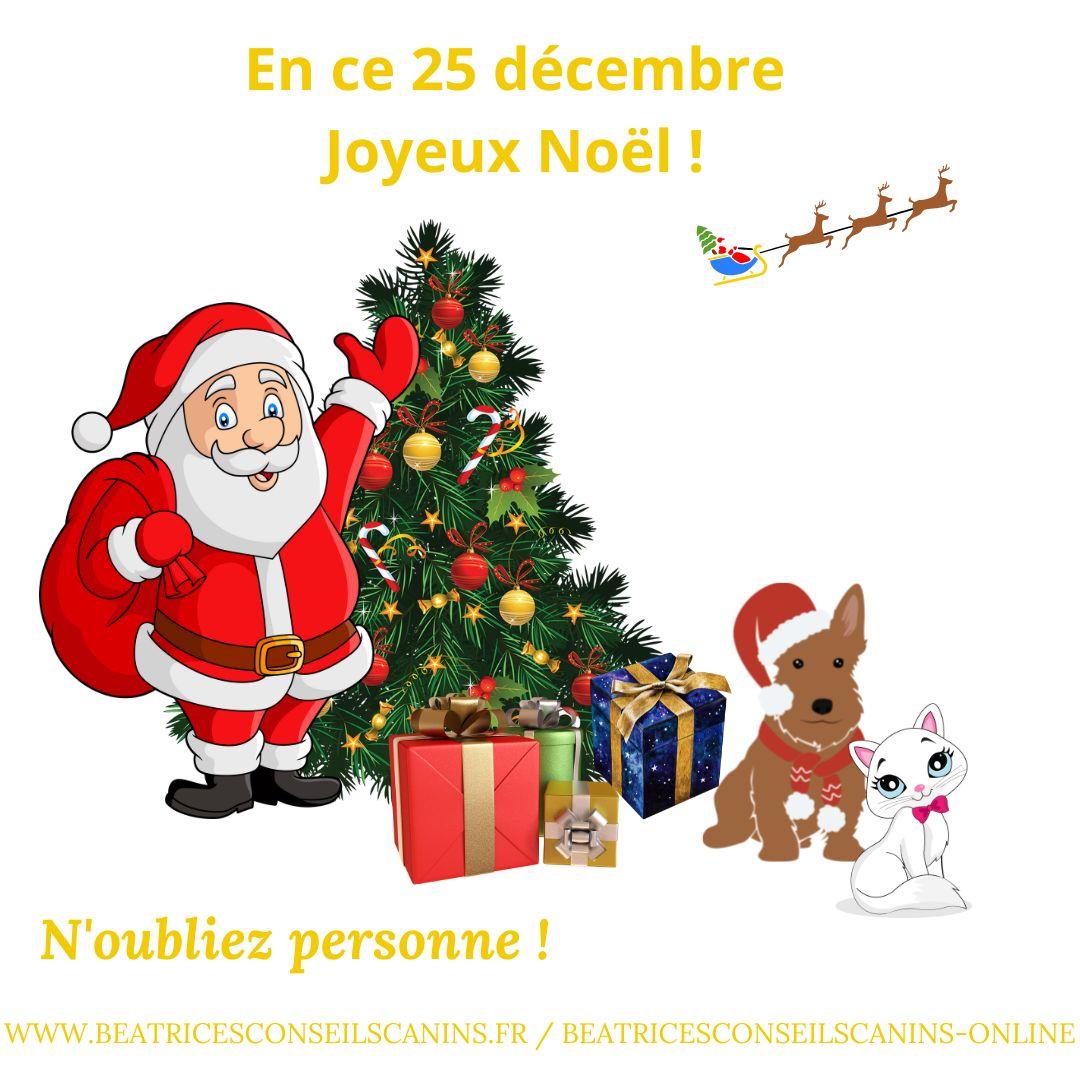 25 decembre