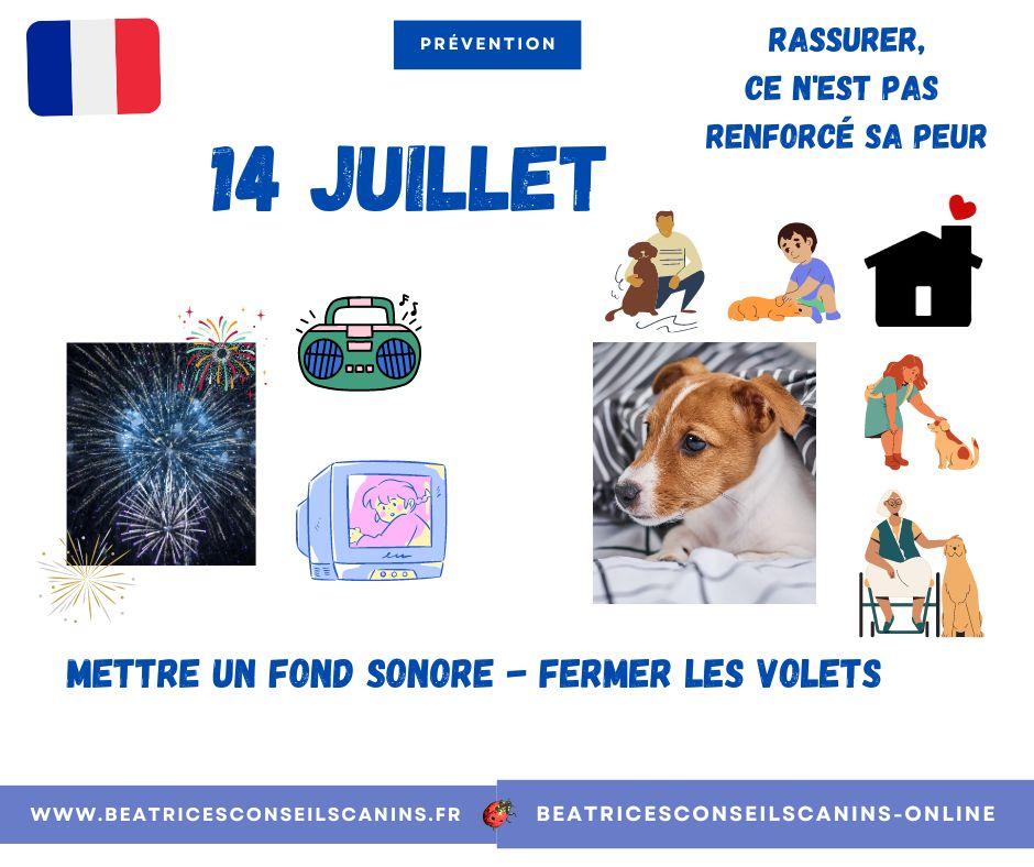 Au quotidien 14 juillet