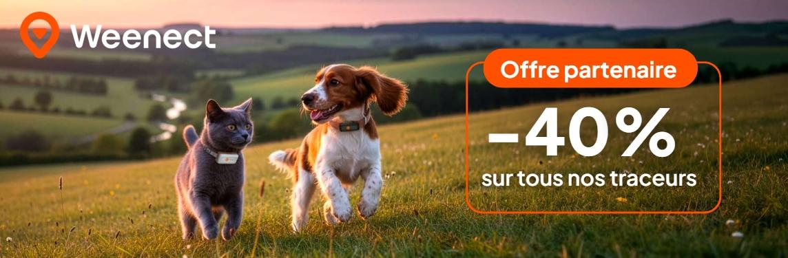Banniere weenect 40 de reduction