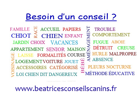 Besoin de conseils1