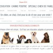 Carte beatricesconseilscanins b site