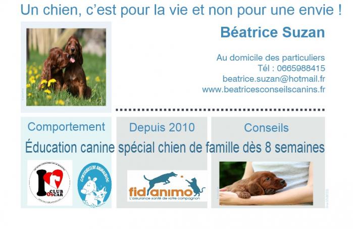 Carte education chiot