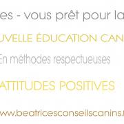 Carte education respectueuse