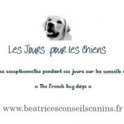 Carte les jours pour les chiens