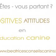 Carte positives attitudes education canine