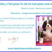 Carte presentation beatricesconseilscanins avec remise annuelle 1