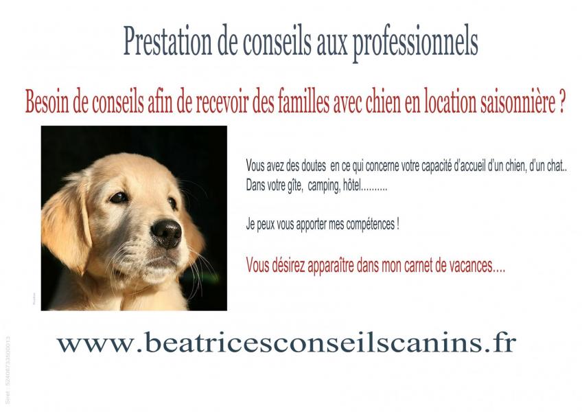 Carte prestation conseils hebergement de vacances