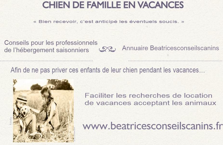 Carte pub conseils hebergement et annuaire2