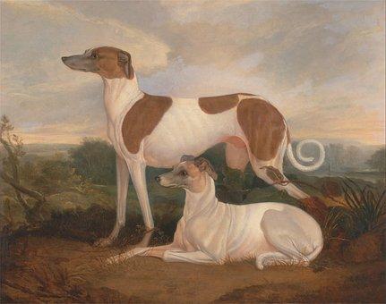 Charles hancock peinture chiens lévrier
