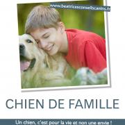 Chien de famille1