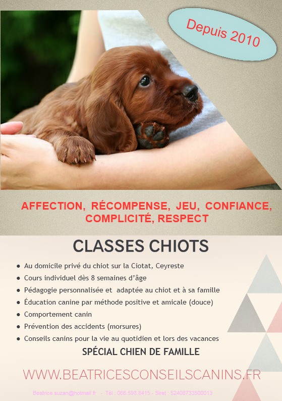 Classes chiots 1