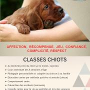 Classes chiots 1