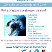 Comportement canin beatricesconseilscanins