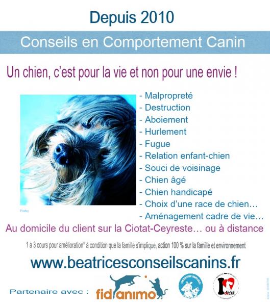 Comportement canin beatricesconseilscanins