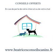 Conseils offerts en cas de perte chien chat