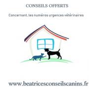 Conseils offerts numero urgence veterinaire