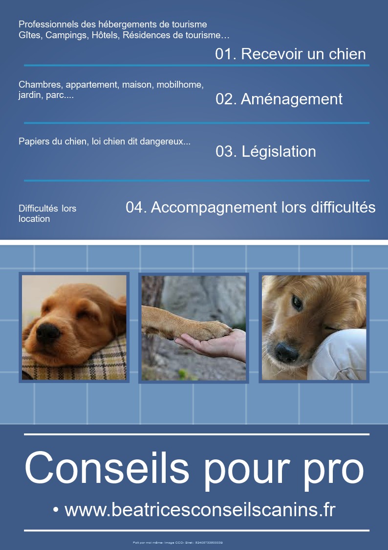 Conseils pour pros