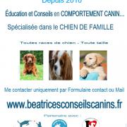 Contact beatricesconseilscanins