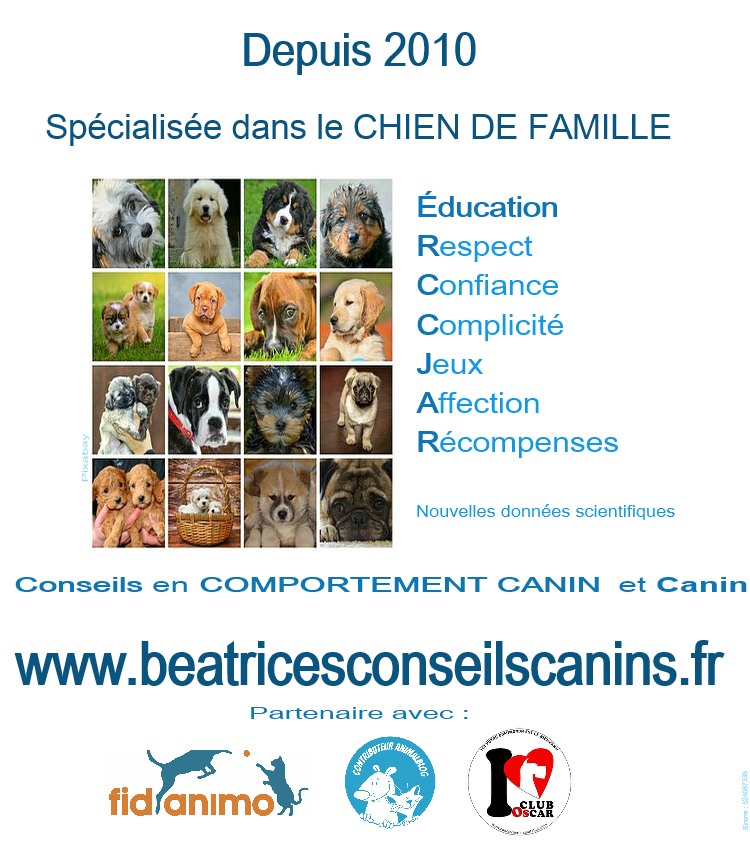 Education beatricesconseilscanins