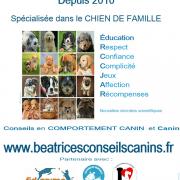 Education beatricesconseilscanins