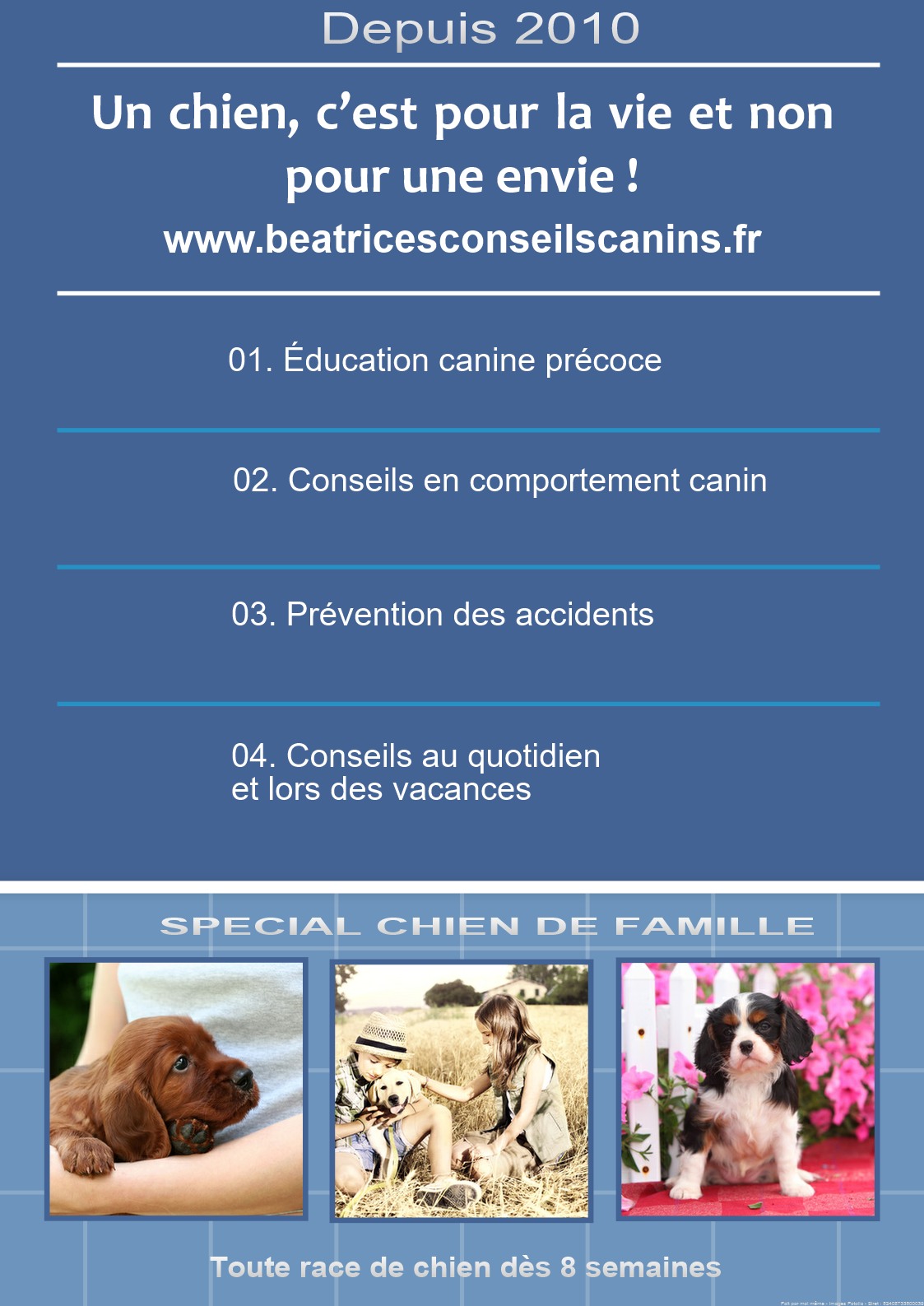 Education bleu