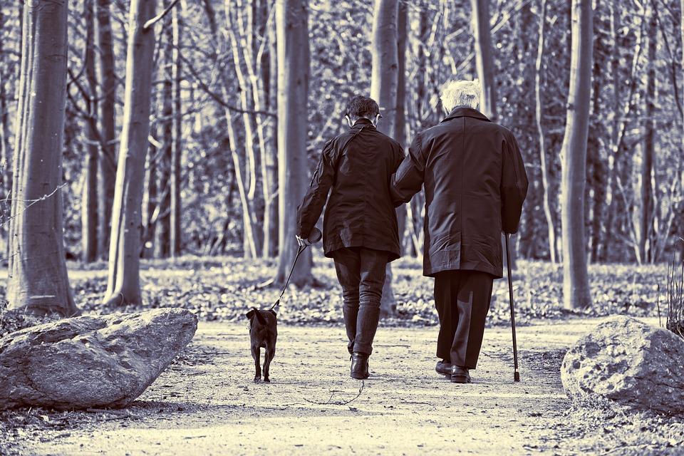Couple personne âgée et chien