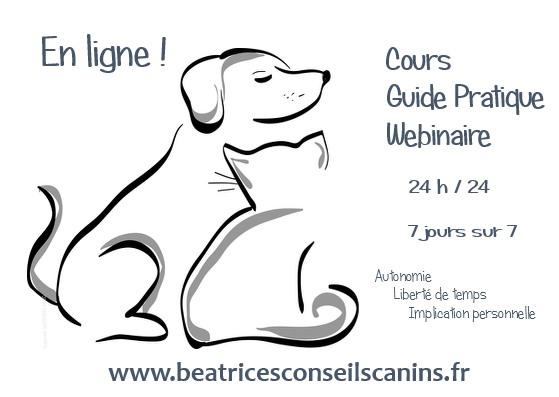 En ligne cours guide webinaire