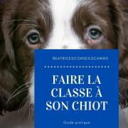 Faire la classe a son chiot 1