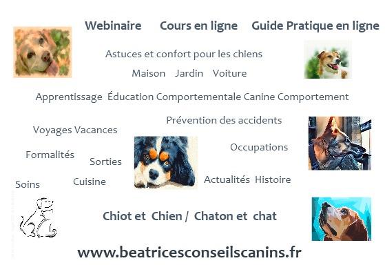Guide pratique cours webinaire en ligne