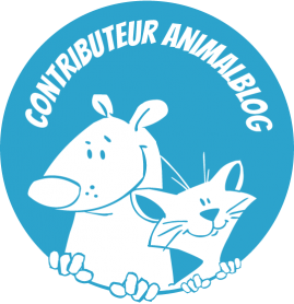 Logo animalblog
