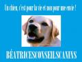 Logo beatrice suzan beatricesconseilscanins