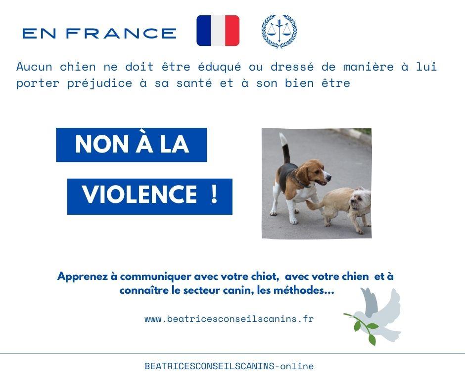 Non violence pendant la socialisation