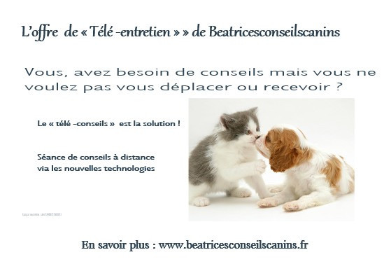 Offre conseils a distance 1