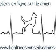 Ondes chiens