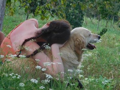 Photo enfant et retriever