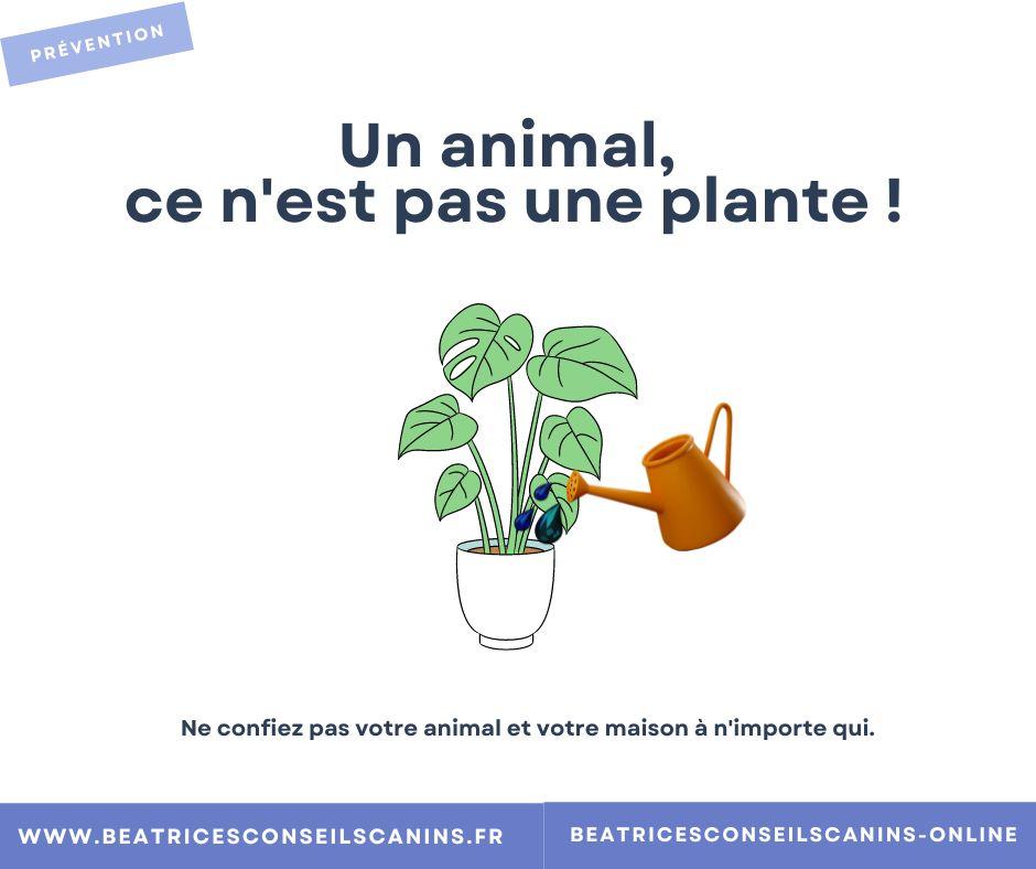 Précautions en cas de garde d'un animal
