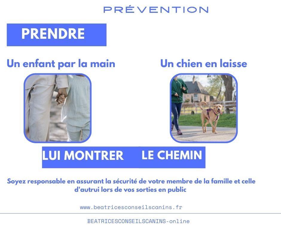 Prendre un chien en laisse