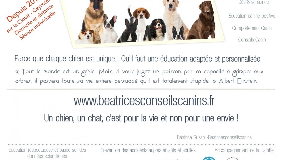 Presentation beatricesconseilscanins conseils