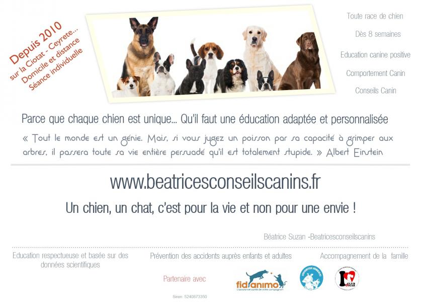 Presentation beatricesconseilscanins conseils