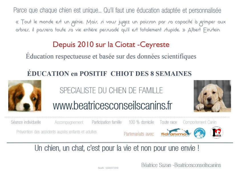 Presentation beatricesconseilscanins education