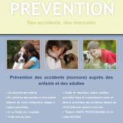 Prevention accident