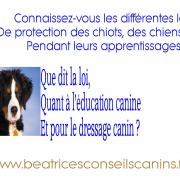 Que dit la loi education et dressage