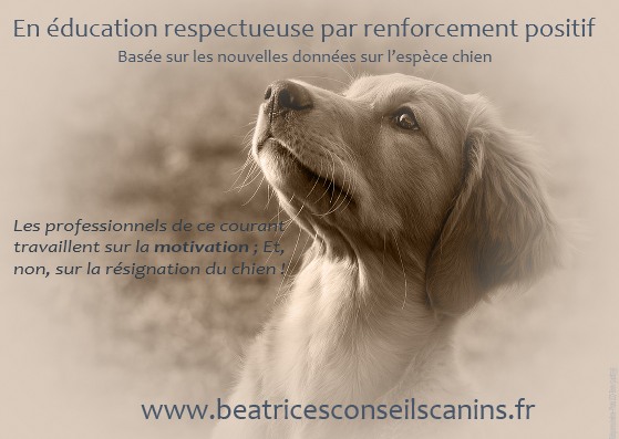 Sensibilisation education respectueuses2