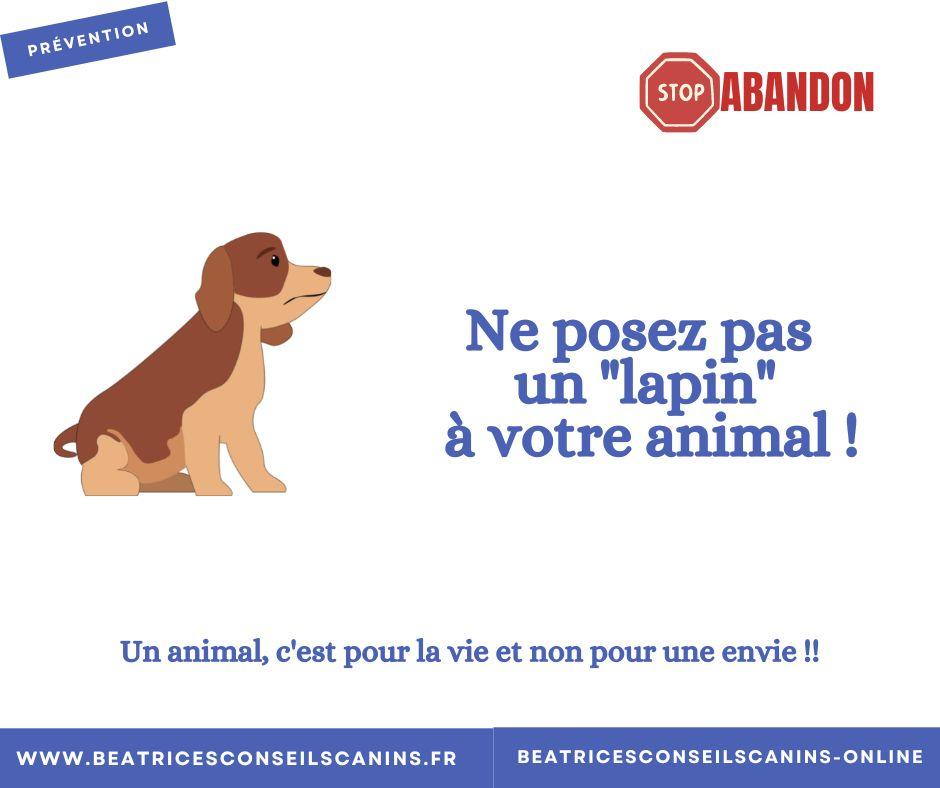 Stop abandon et perte d'un animal
